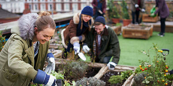 9bf08880aadfd60dc5245be72f1ef110_1590657186_9729.jpg Young people cultivate gardening on the roof of the city